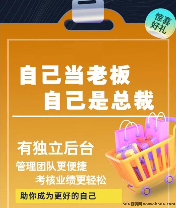 在家轻松浏览广告变现，褂机项目助你日赚1000+！