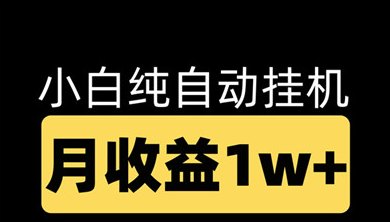 《蔚派赏金》自动褂机矩阵副业，轻松实现日赚300+