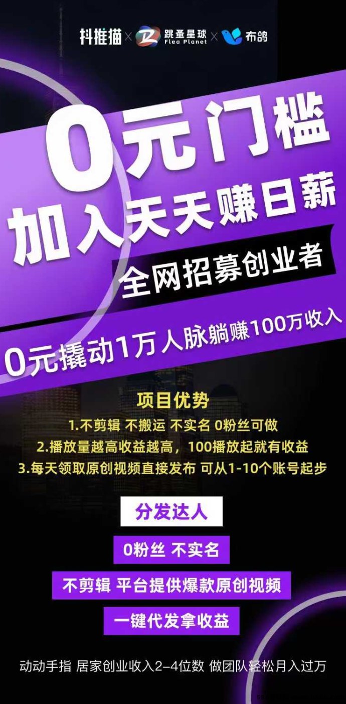 抖推猫视频代发攻略：每天半小时，开启月入万元新机遇