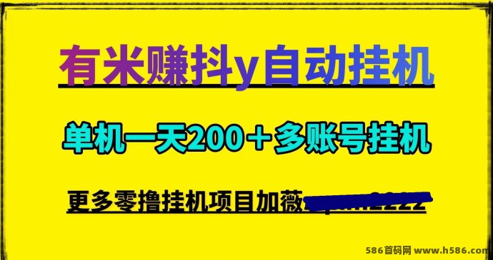 掌赚宝3.0自动褂机新项目，灵活提取引爆2025副业市场！