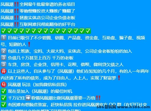 凤凰潮快赚，四种方式轻松赚取丰厚收溢！
