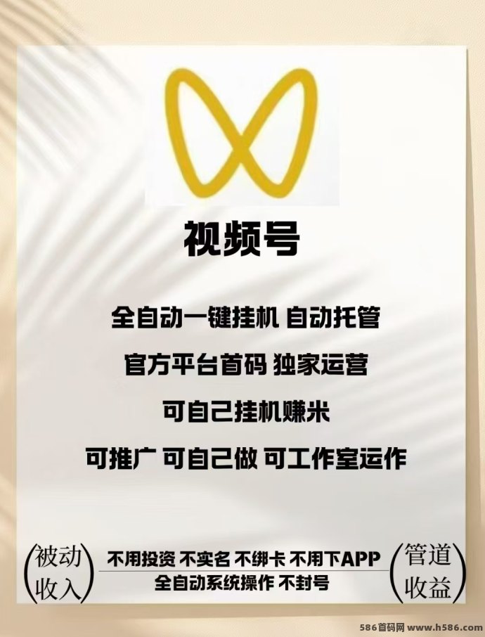 一抖米平台：新年必备靠谱副业！视频号褂机轻松赚！