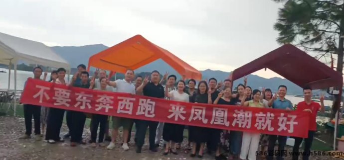 无门槛轻松赚！凤凰潮平台，让你快速获得可观收溢！