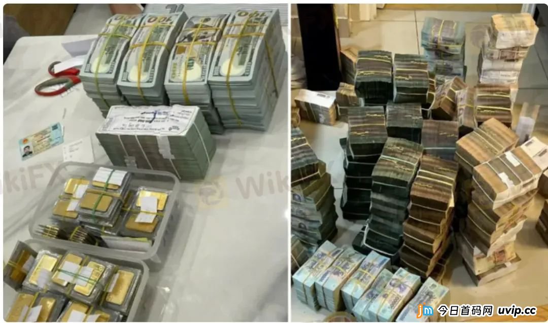 越南最大的外汇和证券诈骗团伙 查封资产5.2万亿 “越南外汇诈骗女王”被捕