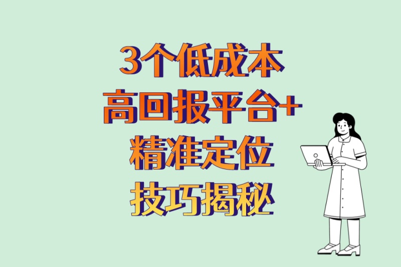 网站推广哪个平台最好?3个低成本高回报平台+精准定位技巧揭秘