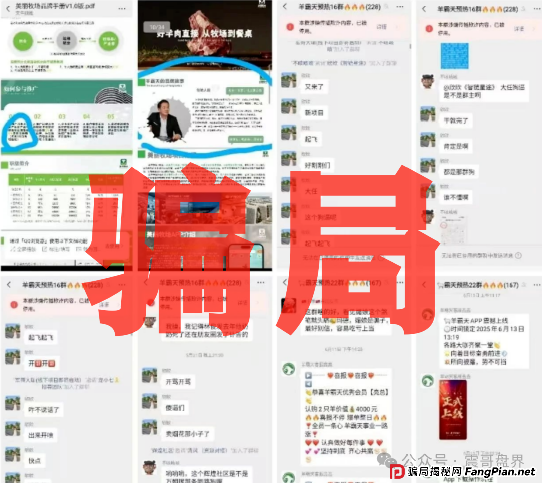 羊霸天美丽牧场:震哥带你扒皮这个空壳骗局 羊霸天美丽牧场:震哥带你扒皮这个空壳骗局