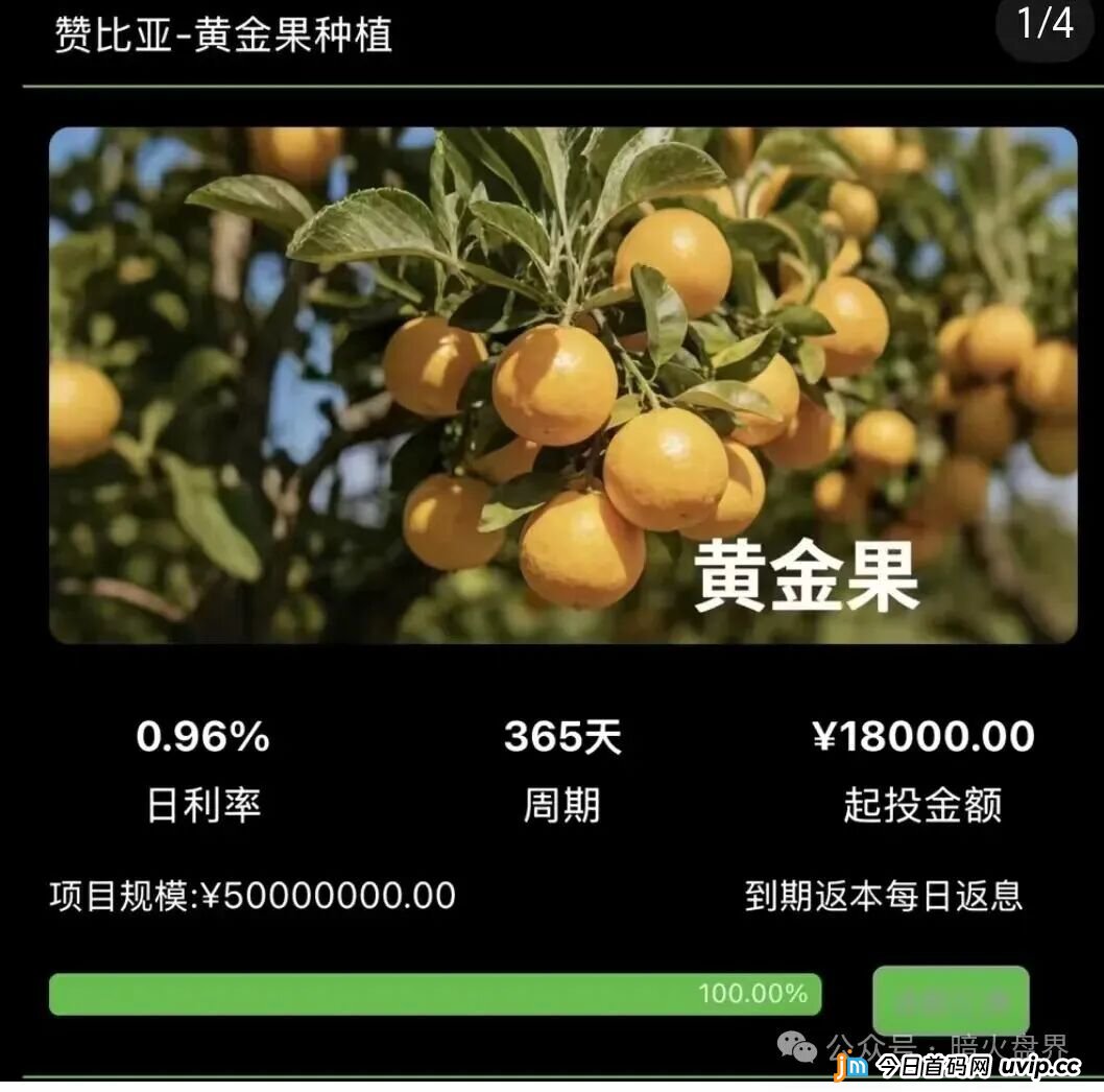 起底“华洋绿投”资金盘：年化超350%的海外种果树骗局，专坑想赚快钱的普通人