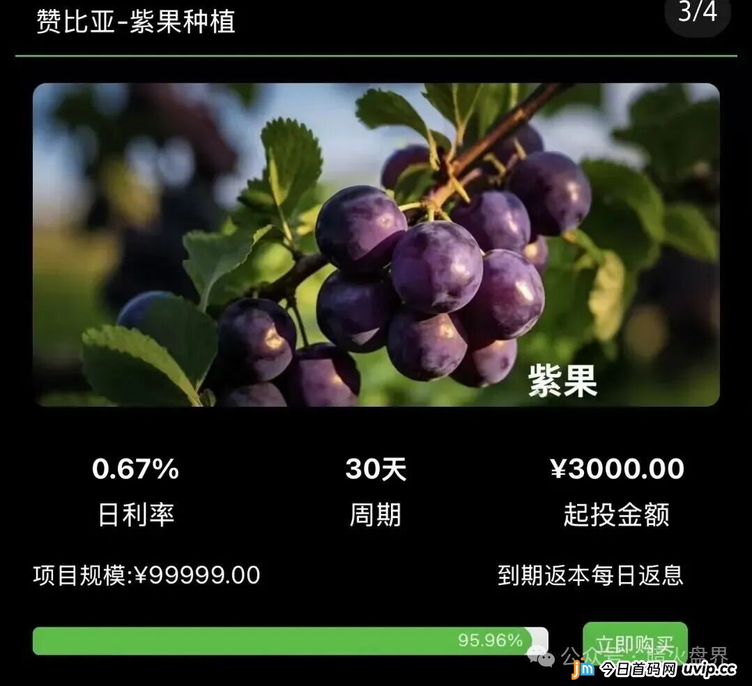 起底“华洋绿投”资金盘：年化超350%的海外种果树骗局，专坑想赚快钱的普通人