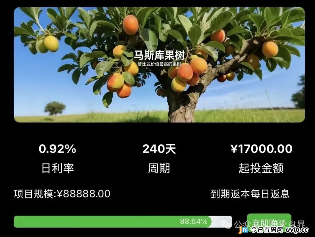 起底“华洋绿投”资金盘：年化超350%的海外种果树骗局，专坑想赚快钱的普通人