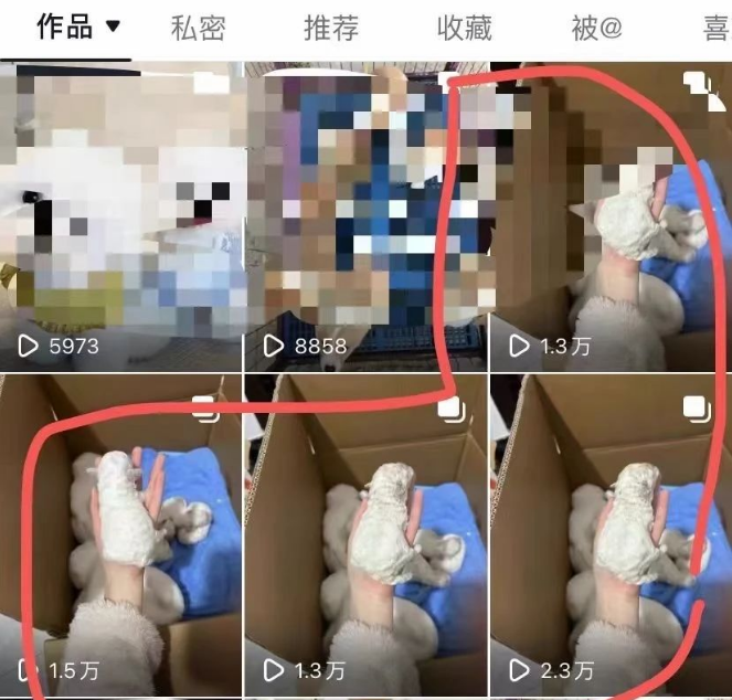 3个没人愿意干  却很暴利的生意  一年收入十几万！ 高端旅游私人定制项目(6)