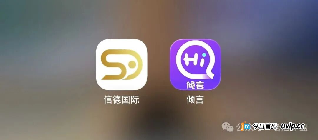 从鑫慷嘉到信德国际，四次收割一条时间线：2026年4月1日账户清零