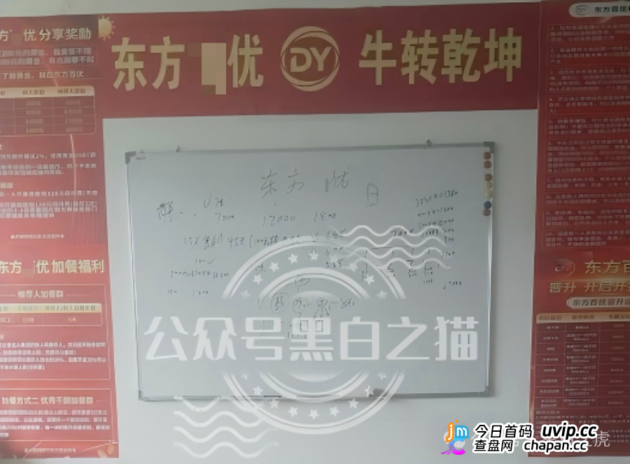 山东团队拉新变慢,项目方KPI定生死|“东方百优”单割倒计时进入最后10天