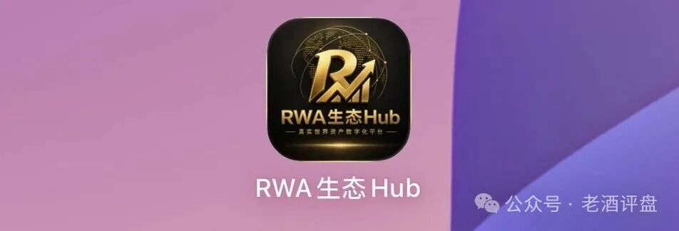 预警｜“RWA生态Hub”披着RWA外衣的资金盘：实体资产上链是假，空投拉人头是真——国家已明令禁止境内RWA业务，你充的钱不受法律保护(1)