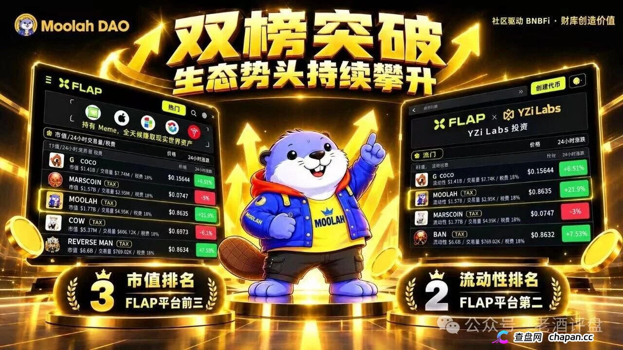 紧急预警！MJR底牌曝光：顶着“社区公平发射”的头衔，干着无锁仓全流通的割韭菜勾当！(5)